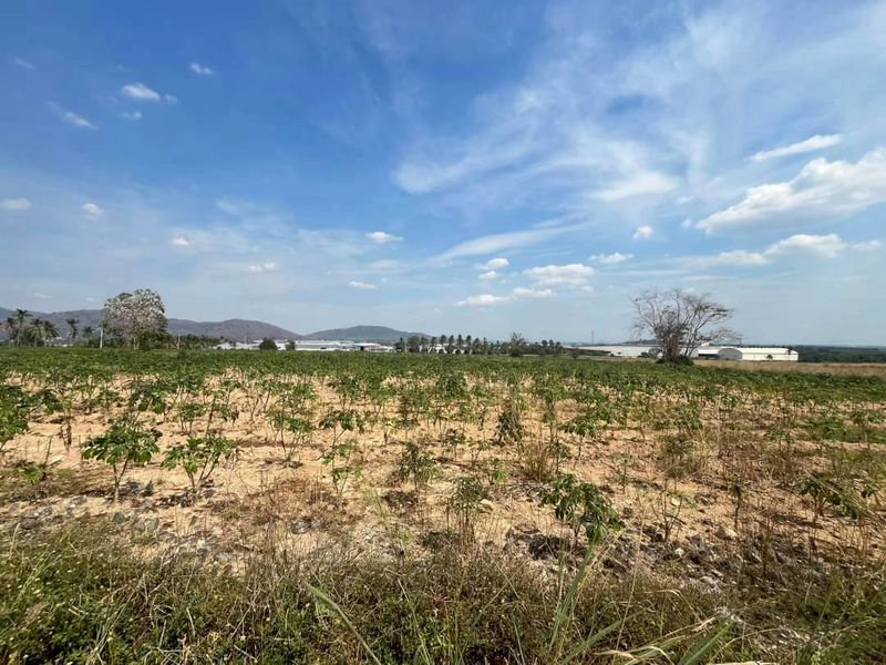 รูป ขายที่ดินทำเลทอง บ่อวิน-ศรีราขา 108 ไร่ ผังม่วงติดถนน 3 ด้าน - รูปที่ 16/16