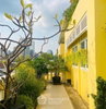 listing thumbnail image 9