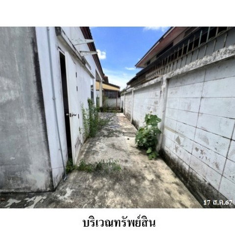 รูป Z3A1400 ขายบ้านเดี่ยว แมกไม้ วัชรพล แขวง คลองถนน เขต สายไหม จังหวัด กรุงเทพมหานคร - รูปที่ 3/8
