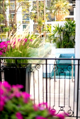 เช่าบ้านเดี่ยว กรุงเทพมหานคร : LTH15359 – ✨🌷 Refined Modern Living | Designer House near BTS Ekkamai | 165K บ้านหรูเอกมัย โดดเด่นด้วยดีไซน์โมเดิร์น โปร่ง สว่าง พร้อมบรรยากาศที่ดูสดชื่นและมีชีวิตชีวา