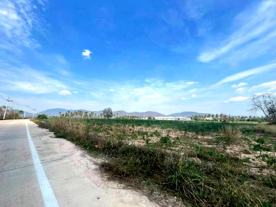 ที่ดิน เทสโก้โลตัส บ่อวิน : ขายที่ดินทำเลทอง บ่อวิน-ศรีราขา 108 ไร่ ผังม่วงติดถนน 3 ด้าน