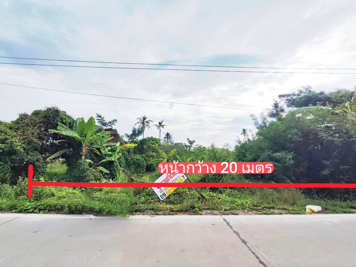 รูป ขายที่ดินเปล่า ติดโครงการดีญ่า อำเภอสารภี - รูปที่ 5/7
