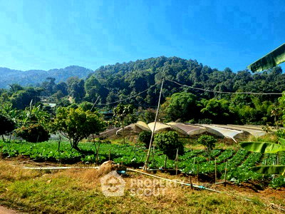 Land for sale Mae Rim Chiang Mai : 5,948 m² Land for Sale close to Queen Sirikit Botanic Garden (ID 2879077)