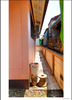 listing thumbnail image 29