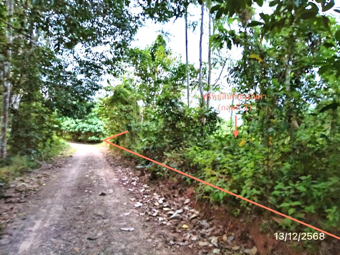 รูป บ้านเดี่ยว 2899.9 ตร.วา ตะโหมด พัทลุง 3.6M - รูปที่ 22/28