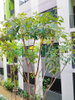 listing thumbnail image 16