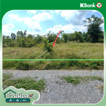 picture LAND 1600 Sq.w. Nong Ya Sai Suphanburi for 1.6M - 16/18