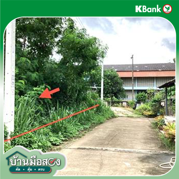 รูป ที่ดินว่างเปล่า 124.6 ตร.วา เมืองชุมพร ชุมพร 873,000 - รูปที่ 14/16