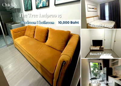คอนโดให้เช่า : The Tree Ladprao 15 | ราคา 10,000 บาท | ห้องสวย ทำเลดี เฟอร์นิเจอร์ครบ พร้อมอยู่ 