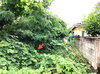 listing thumbnail image 5
