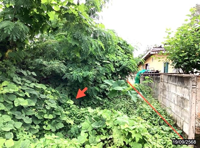 รูป ที่ดินว่างเปล่า 124.6 ตร.วา เมืองชุมพร ชุมพร 873,000 - รูปที่ 6/16