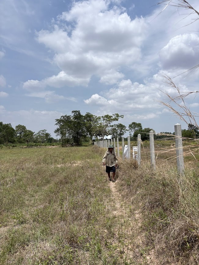 picture Land for sell : 12 rai , Location Ubonratchatani Province - 7/13