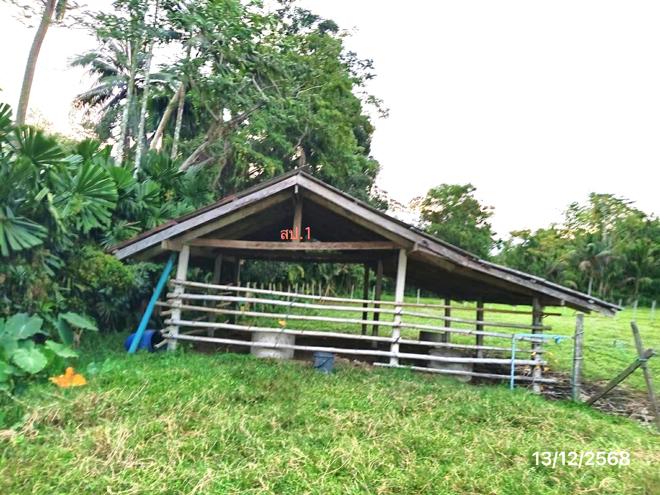 รูป บ้านเดี่ยว 2899.9 ตร.วา ตะโหมด พัทลุง 3.6M - รูปที่ 7/28