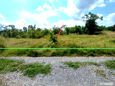 LAND 1600 Sq.w. Nong Ya Sai Suphanburi for 1.6M