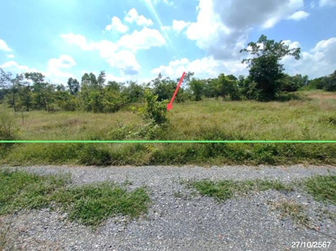 picture LAND 1600 Sq.w. Nong Ya Sai Suphanburi for 1.6M - 1/18