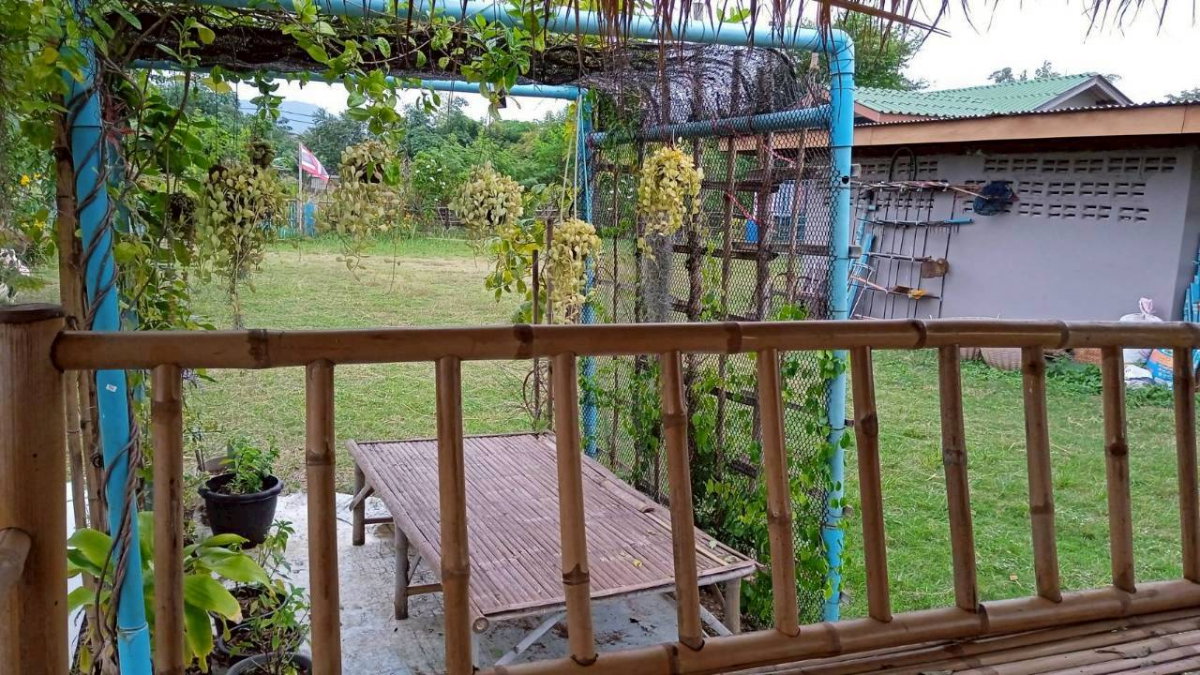 รูป ขายที่ดินทางเลือก (ภบท5) ราคาจับต้องง่าย. ( 612บ./ ตร.วา ) ( 20 ไร่. : 4.9 ล้าน ) | ซื้อขาย เปลี่ยนชื่อได้ : พื้นที่. ปลอดภัยฯ หายห่วง - รูปที่ 11/14