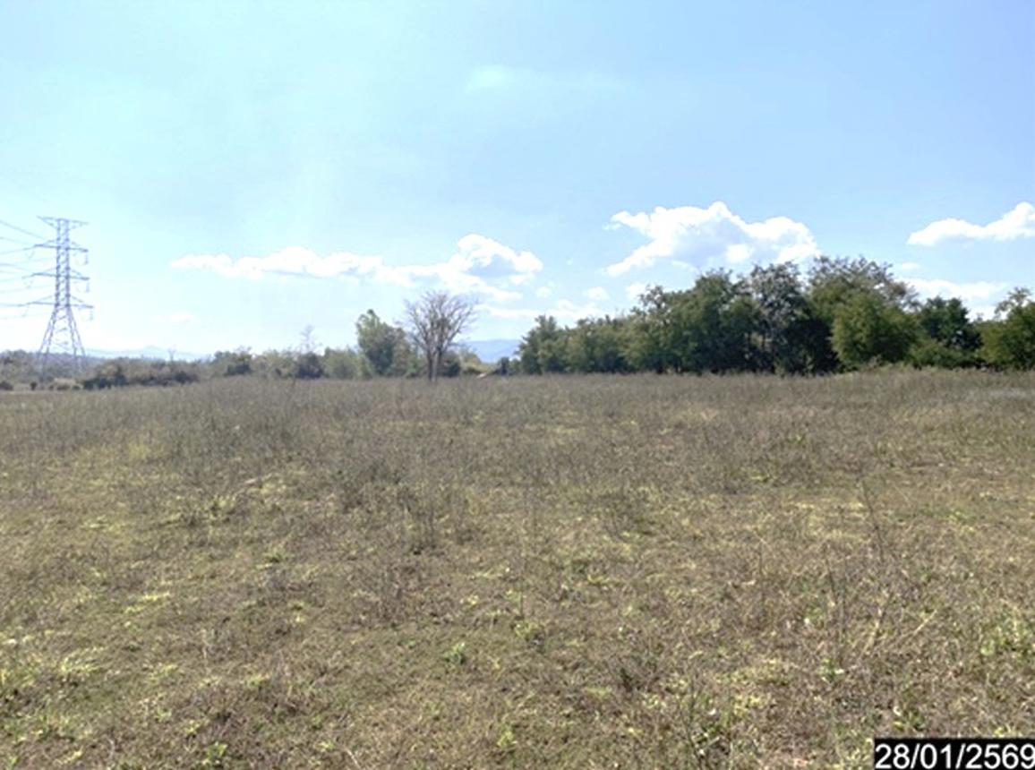รูป ที่ดินว่างเปล่า 947 ตร.วา ท่าลี่ เลย 3.6M - รูปที่ 12/18