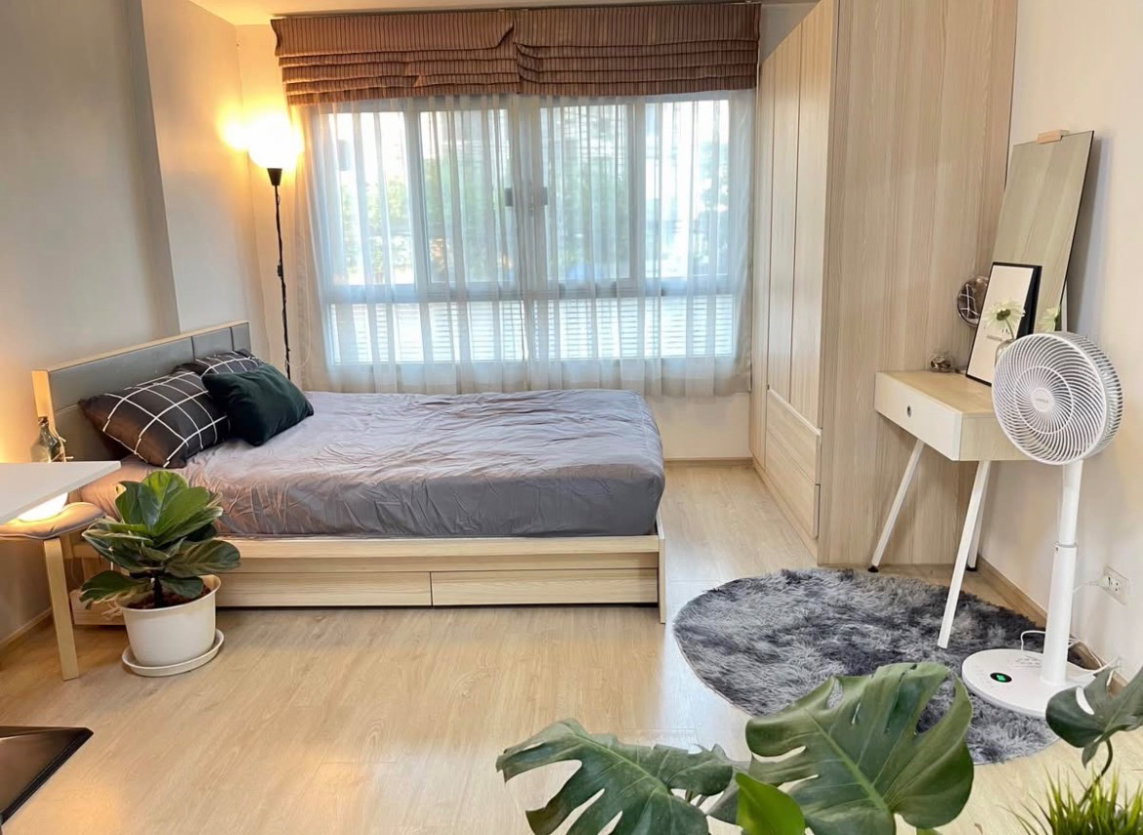 รูป ให้เช่า Elio Del Ray สุขุมวิท 64 🏡 เฟอร์ครบ มีเครื่องซักผ้า‼️ ใกล้ BTS #ตอบแชทไว 🔥🔥 รหัส B722 - รูปที่ 2/7