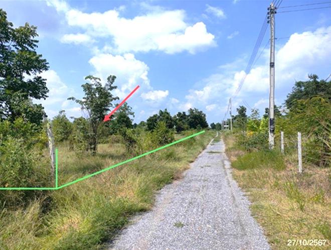 picture LAND 1600 Sq.w. Nong Ya Sai Suphanburi for 1.6M - 7/18