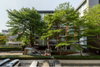 listing thumbnail image 15
