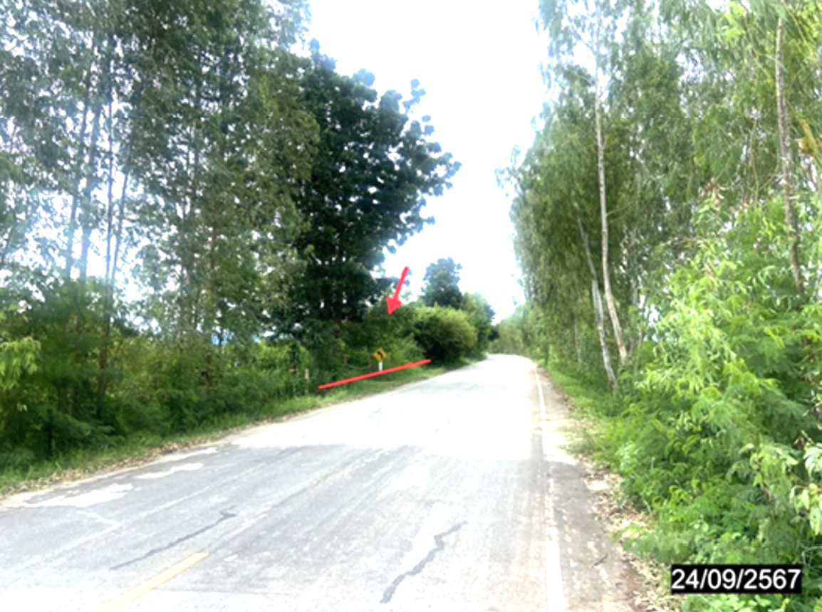 รูป ที่ดินว่างเปล่า 3611.5 ตร.วา ชุมชนบ้านหนองตานา โนนสัง หนองบัวลำภู 2.7M - รูปที่ 14/18