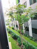 listing thumbnail image 22
