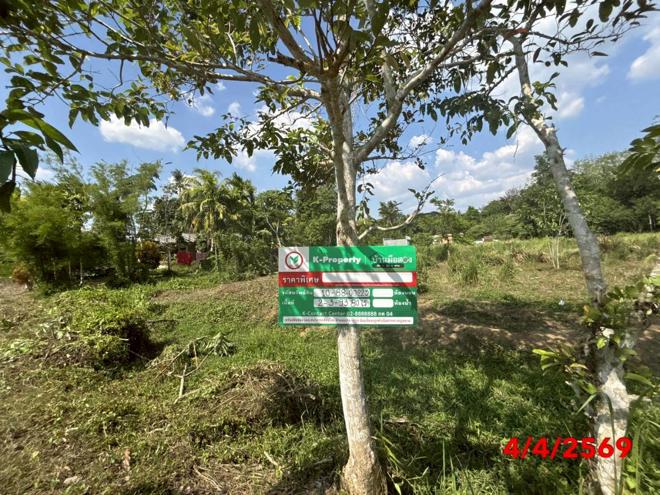 picture OFFICE 1193.8 Sq.w. Thung Song Nakhon Sri Thammarat for 761,000 - 2/20