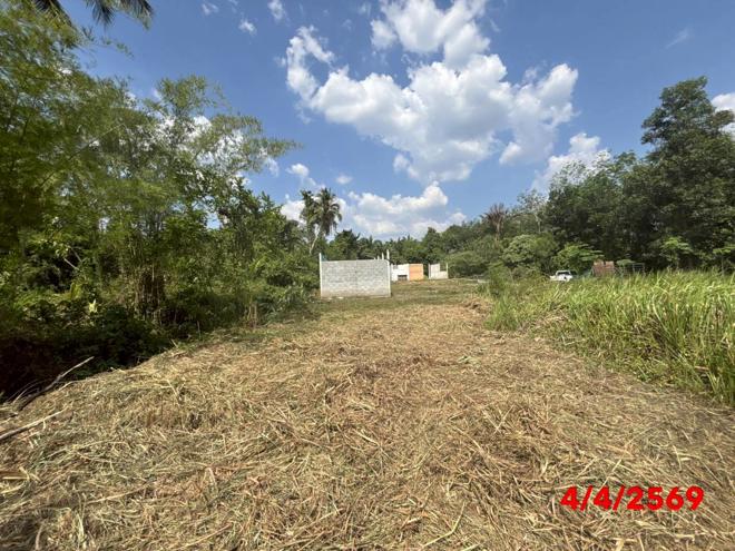 picture OFFICE 1193.8 Sq.w. Thung Song Nakhon Sri Thammarat for 761,000 - 4/20