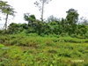 listing thumbnail image 23