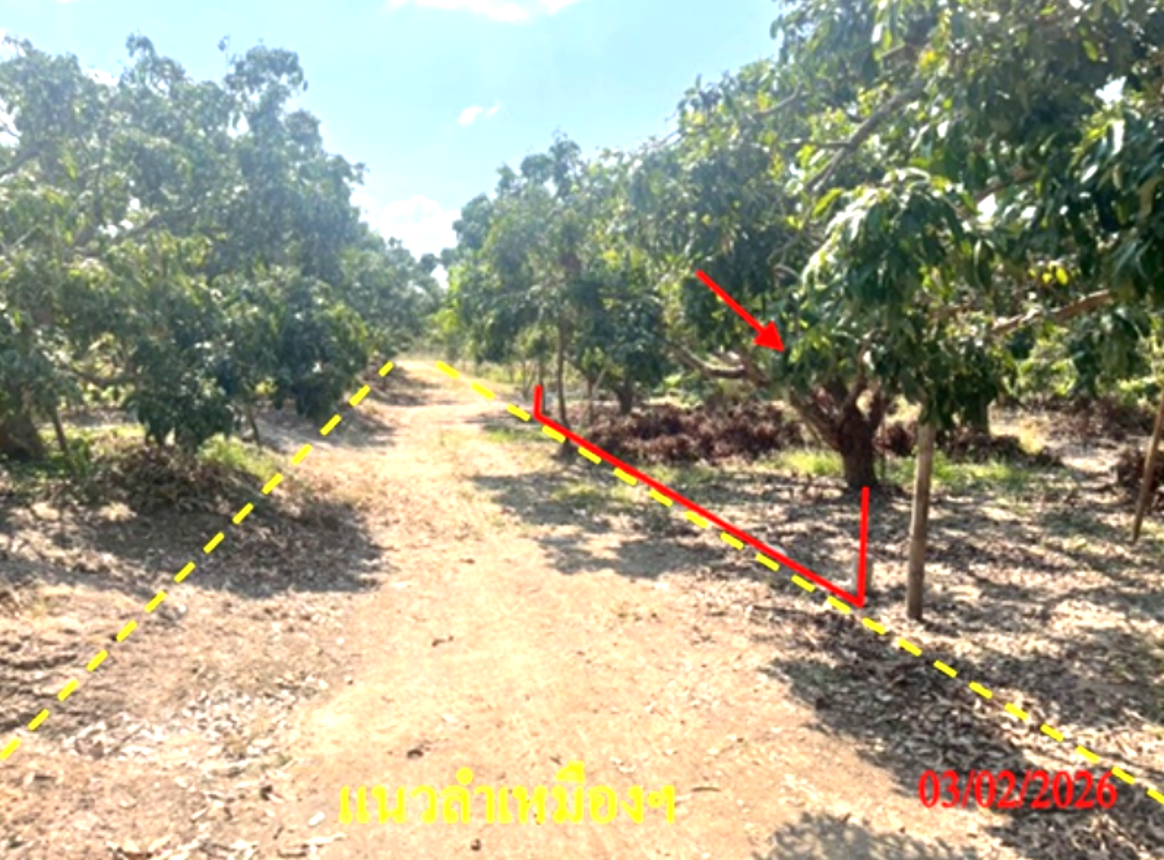 รูป ที่ดินว่างเปล่า 537 ตร.วา เวียงหนองล่อง ลำพูน 806,000 - รูปที่ 10/16