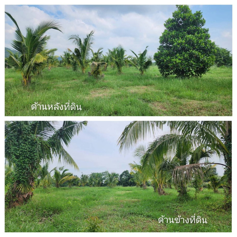 รูป ขายที่ดิน หมู่บ้านซอนต้า วิวภูเขา ใกล้อ่างเก็บน้ำซอนต้า อ.จอมบึง จ.ราชบุรี - รูปที่ 2/5