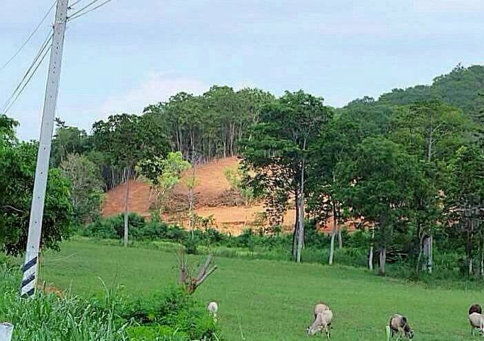 รูป Land for Sale Silverlake Na Jomtien - รูปที่ 3/6