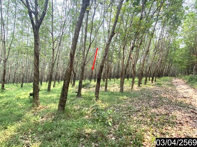 picture HOME 16600 Sq.w. Nongkai for 9.2M - 5/18