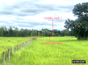 listing thumbnail image 4