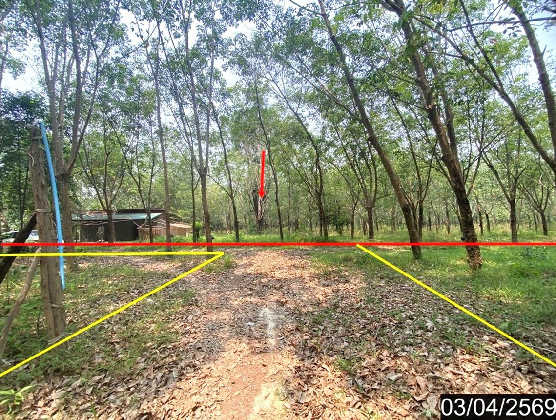 picture HOME 16600 Sq.w. Nongkai for 9.2M - 13/18