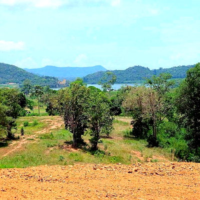 ที่ดิน สัตหีบ ชลบุรี : Land for Sale Silverlake Na Jomtien