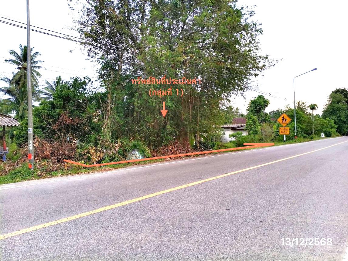 รูป บ้านเดี่ยว 2899.9 ตร.วา ตะโหมด พัทลุง 3.6M - รูปที่ 15/28