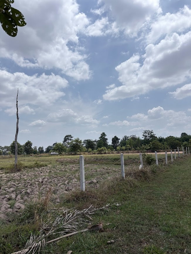 picture Land for sell : 12 rai , Location Ubonratchatani Province - 8/13