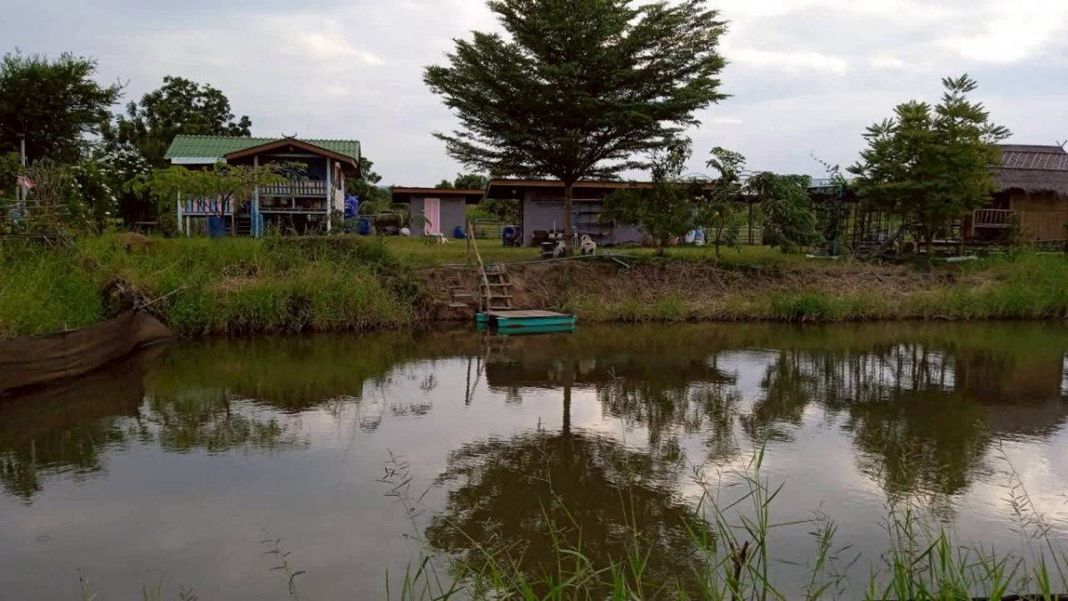 รูป ขายที่ดินทางเลือก (ภบท5) ราคาจับต้องง่าย. ( 612บ./ ตร.วา ) ( 20 ไร่. : 4.9 ล้าน ) | ซื้อขาย เปลี่ยนชื่อได้ : พื้นที่. ปลอดภัยฯ หายห่วง - รูปที่ 3/14