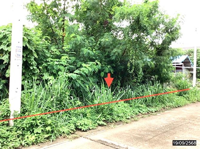 รูป ที่ดินว่างเปล่า 124.6 ตร.วา เมืองชุมพร ชุมพร 873,000 - รูปที่ 3/16