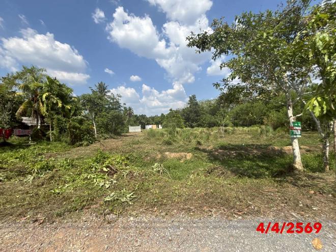 picture OFFICE 1193.8 Sq.w. Thung Song Nakhon Sri Thammarat for 761,000 - 1/20