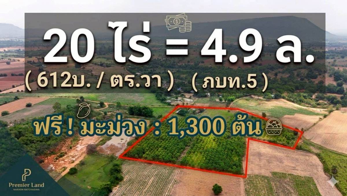 รูป ขายที่ดินทางเลือก (ภบท5) ราคาจับต้องง่าย. ( 612บ./ ตร.วา ) ( 20 ไร่. : 4.9 ล้าน ) | ซื้อขาย เปลี่ยนชื่อได้ : พื้นที่. ปลอดภัยฯ หายห่วง - รูปที่ 1/14
