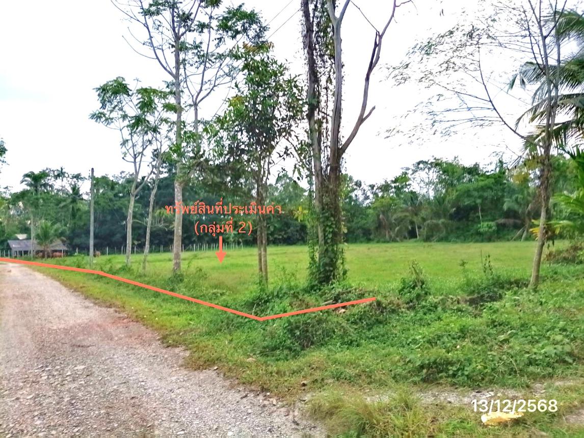 รูป บ้านเดี่ยว 2899.9 ตร.วา ตะโหมด พัทลุง 3.6M - รูปที่ 18/28