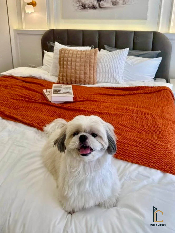 รูป 🐶😻Pet Friendly 2b1b 3.49mb - Grand Park Town 📞Call 090 919 9898 - รูปที่ 7/8