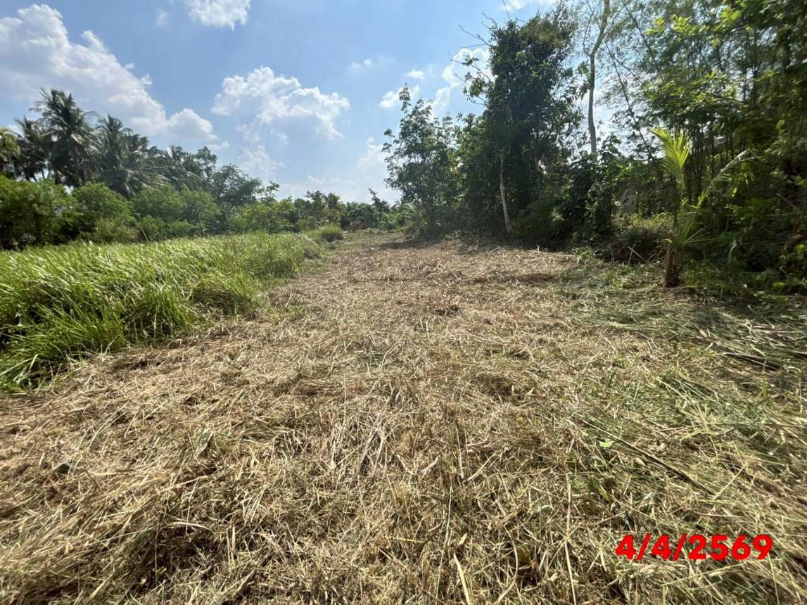 picture OFFICE 1193.8 Sq.w. Thung Song Nakhon Sri Thammarat for 761,000 - 11/20