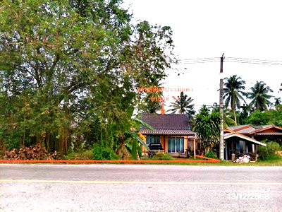 บ้านเดี่ยว พัทลุง : บ้านเดี่ยว 2899.9 ตร.วา ตะโหมด พัทลุง 3.6M