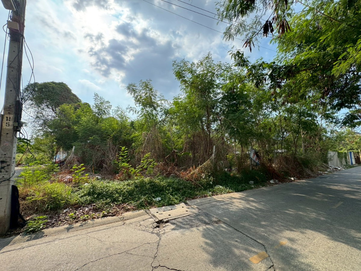 รูป ขายด่วน ที่ดินเปล่า ซอยติวานนท์ 24 แยก 13 อ.เมืองนนทบุรี ที่ดินขนาด 151 ตร.วา ถมแล้ว ผังสีส้ม ใกล้ BTS แคราย เพียง 1.8 กม. - รูปที่ 6/7