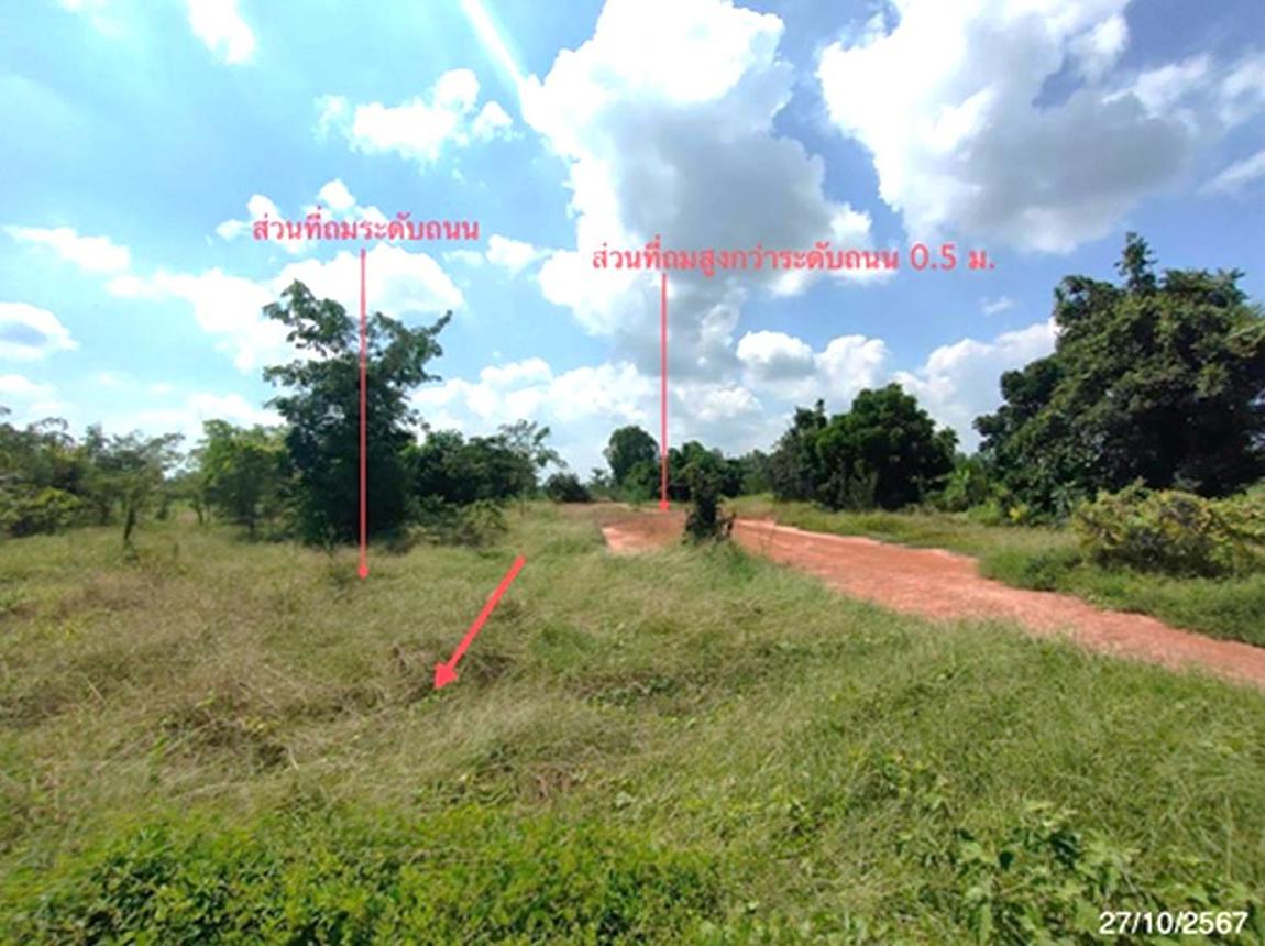 picture LAND 1600 Sq.w. Nong Ya Sai Suphanburi for 1.6M - 10/18