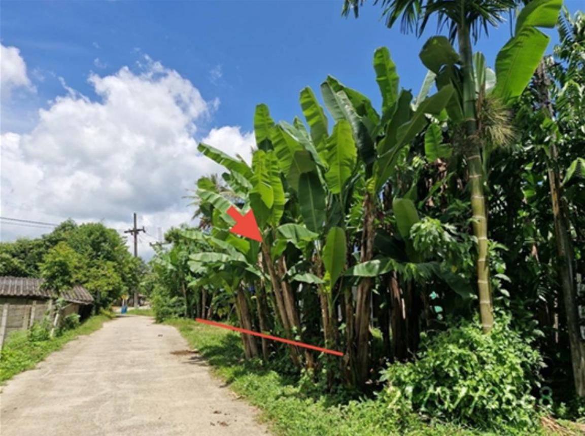 picture HOME 161.6 Sq.w. Kantrang Trang for 1.2M - 8/14