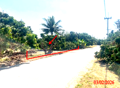 ที่ดิน เวียงหนองล่อง ลำพูน : ที่ดินว่างเปล่า 537 ตร.วา เวียงหนองล่อง ลำพูน 806,000